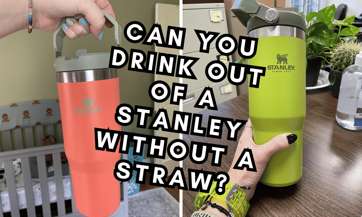 https://www.articlefortress.com/content/images/2023/10/Stanley-No-Straw-Feature.png
