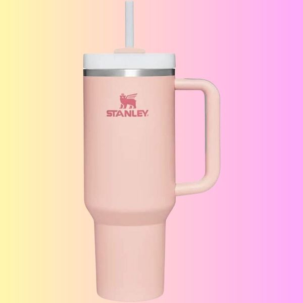 A Pink-tastic Showdown: Comparing 5 Stanley Tumblers For The Ultimate ...